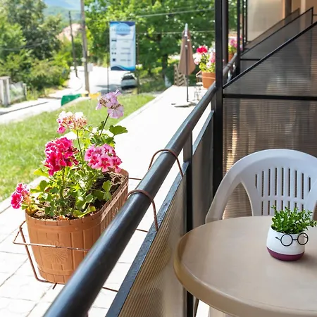 Hotel комплекс плавис Treavna