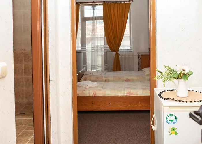 комплекс плавис Otel Tryavna